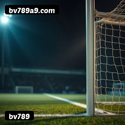 Imagem secundária de apoio para instalação do app bv789